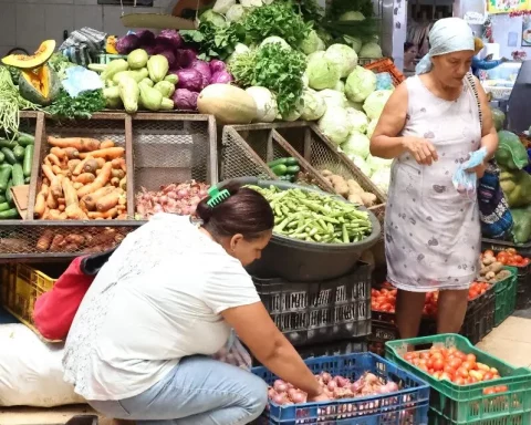 Mercados abastecidos de productos para cena de Navidad