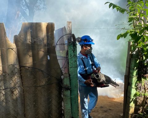 Minsa registers increase in dengue cases in Nicaragua