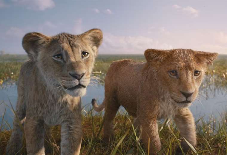 “Mufasa: The Lion King” arrives in theaters nationwide this Thursday, December 19