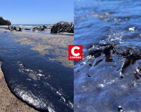 Oil spill in Lobitos affects marine fauna