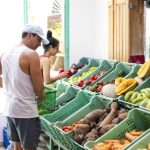 Organic Market, the business that encourages eating natural and healthy