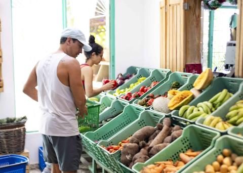 Organic Market, the business that encourages eating natural and healthy