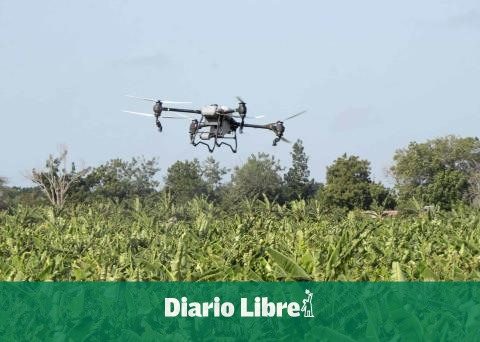 Precision agriculture gains ground with drones in the DR