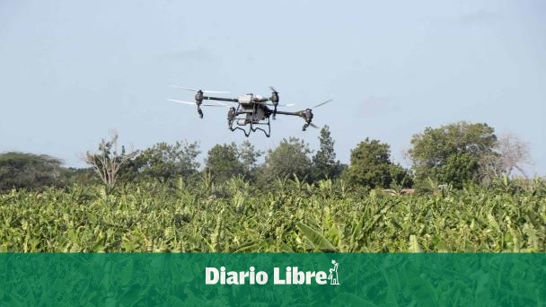 Precision agriculture gains ground with drones in the DR