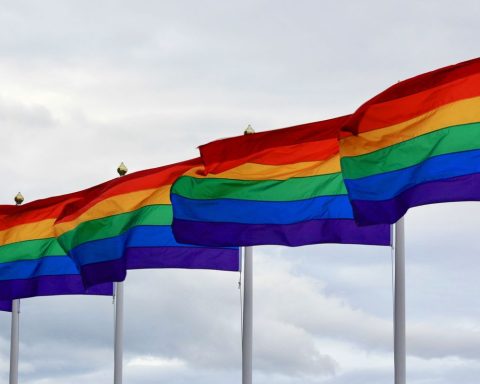 Public service standardizes data collection on the LGBTQIA+ population