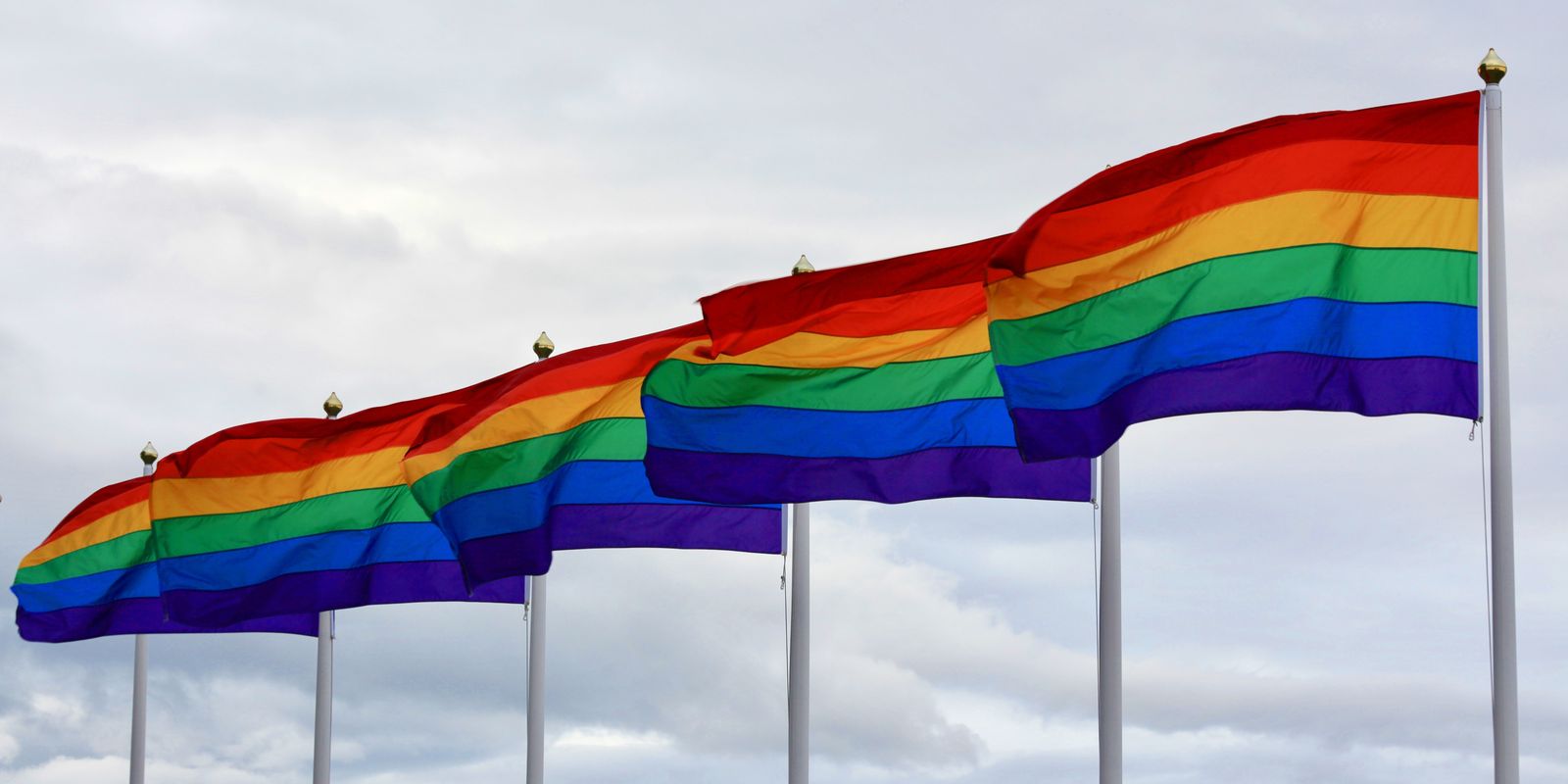 Public service standardizes data collection on the LGBTQIA+ population