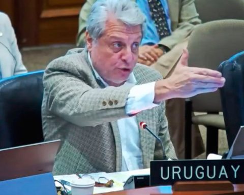 Un querido turco en Caracas / Washington-Abdala-Uruguay