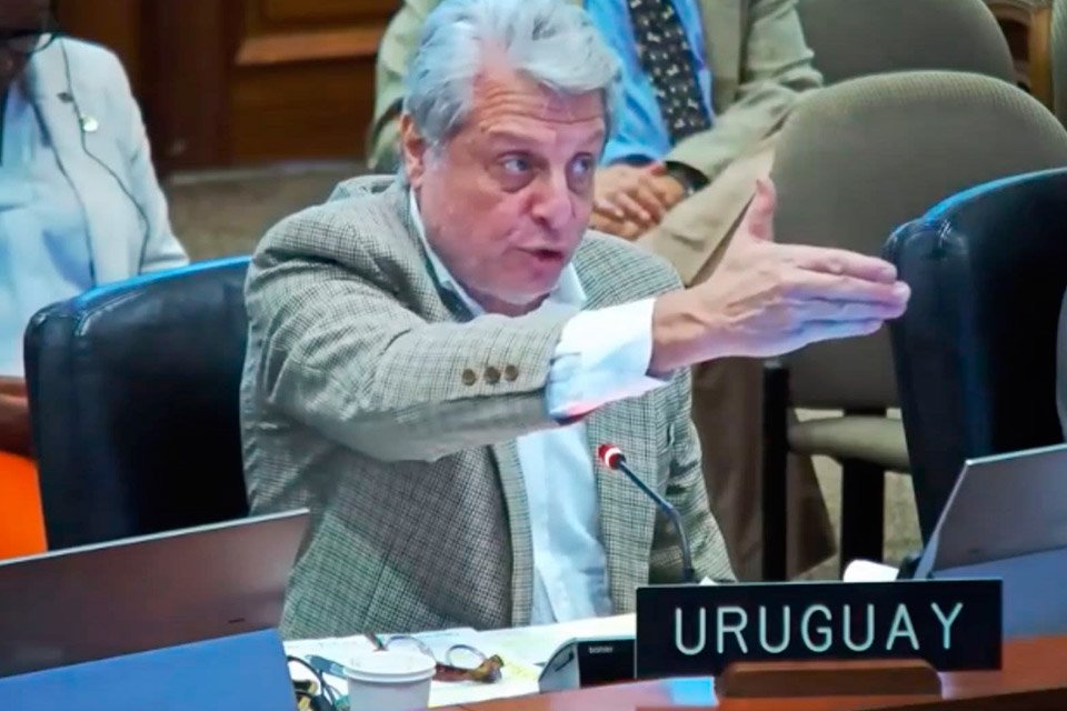 Un querido turco en Caracas / Washington-Abdala-Uruguay