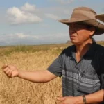 Asesores vietnamitas para el cultivo de arroz en el Sur del Jíbaro, Sancti Spíritus