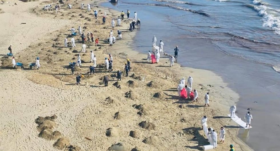 SPDA contradicts Petroperú: Talara beaches still have damage from oil spill