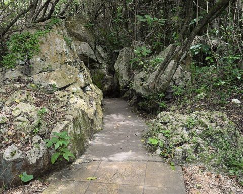 Organizaciones de San Cristóbal exigen acciones para preservar las Cuevas del Pomier