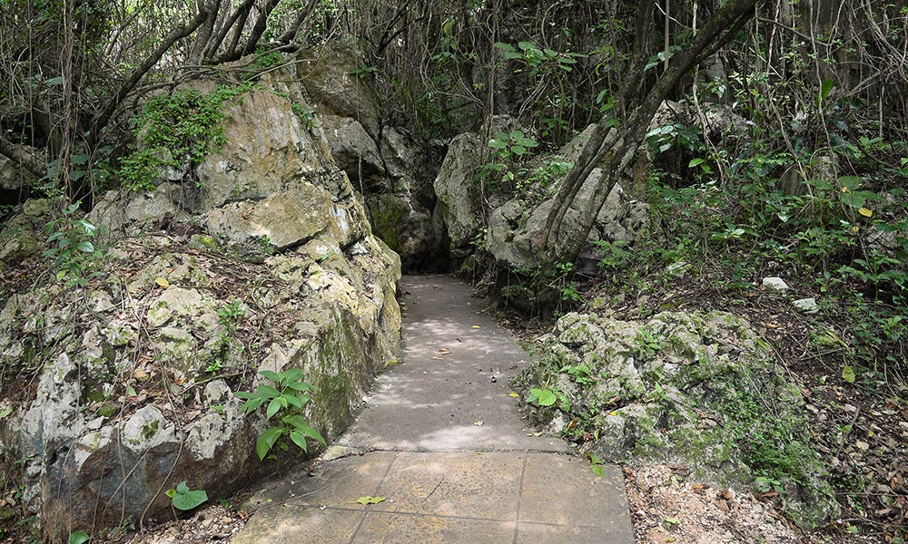 Organizaciones de San Cristóbal exigen acciones para preservar las Cuevas del Pomier