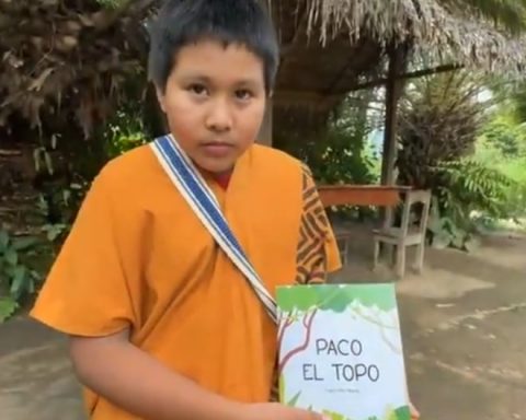 Satipo: 11-year-old Asháninka boy presents his first book 'Paco el topo'