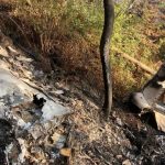 Small plane crashes in forested area of ​​Jalisco; 7 deaths reported