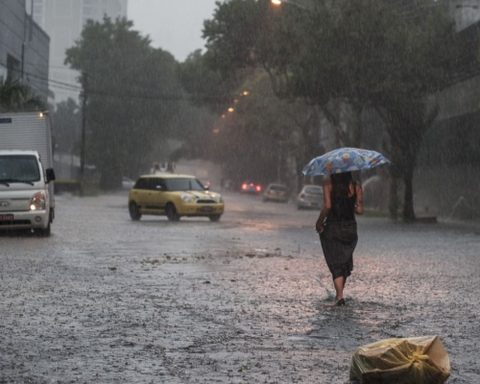 Storm leaves 660,000 homes without electricity in the metropolitan region of SP