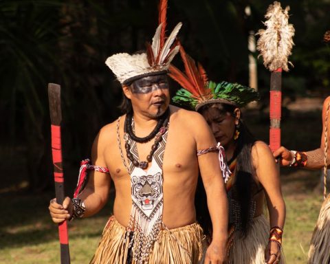 Study highlights potential and challenges for ethnotourism in the Amazon