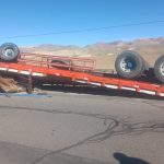 Tacna: 10 horses die in a truck accident on the Binational highway