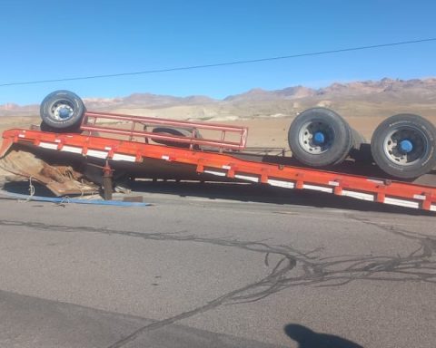 Tacna: 10 horses die in a truck accident on the Binational highway