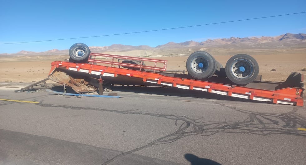 Tacna: 10 horses die in a truck accident on the Binational highway