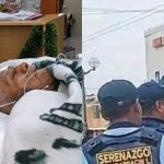 Tacna: Serious older adult run over by police with his motorcycle