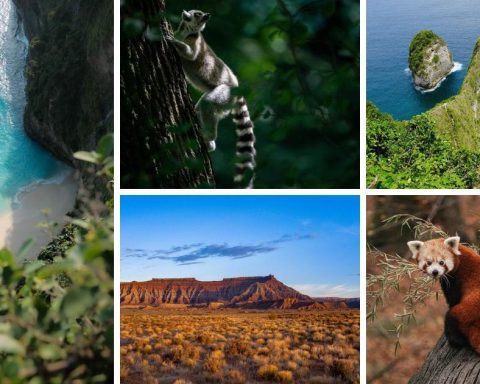 The 6 places in North America and the Caribbean that you should visit in 2025, according to an important international tourism magazine