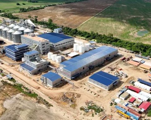 The Government will inaugurate a soy by-product transformation plant this Thursday in San Julián