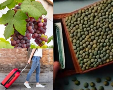 Los agüeros para recibir el 2025: unos para el "amor" y otros para la "buena suerte"