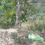 They find the body of a young man in El Hatillo