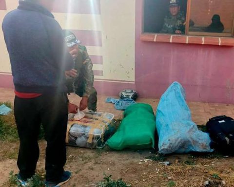 They seize 52 kilos of marijuana that were found in a brick oven in Oruro