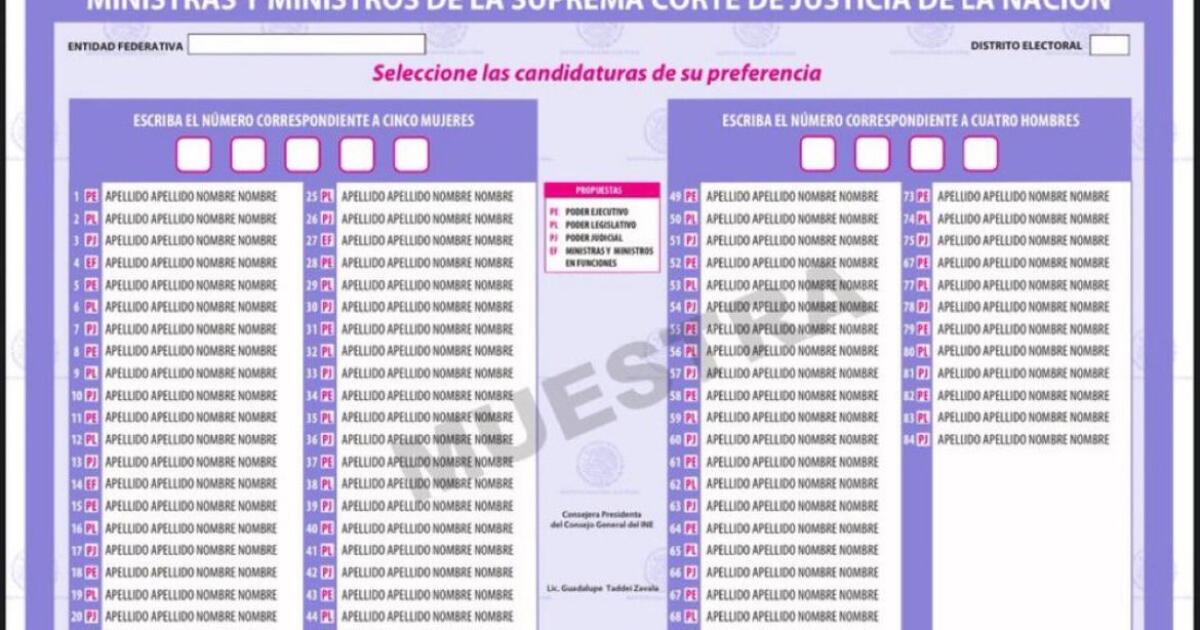 This is how the ballots will be for the 2025 judicial election