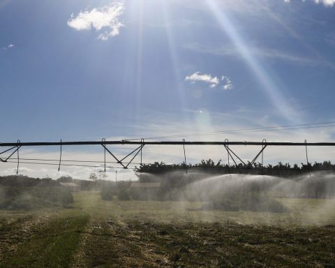 Understand what agricultural exports look like after the Mercosur-EU agreement