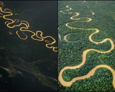 ¿Por qué no hay puentes sobre el Amazonas? la razón detrás del misterio