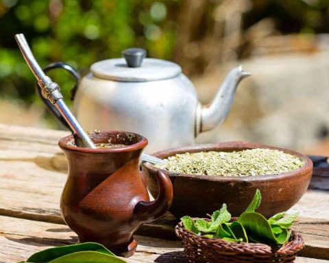 Yerbateros warn of conflicts with yerba mate due to the crisis