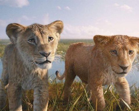 "Contradicts everything established in 'The Lion King'": the BBC's harsh criticism of "Mufasa"the new Disney movie