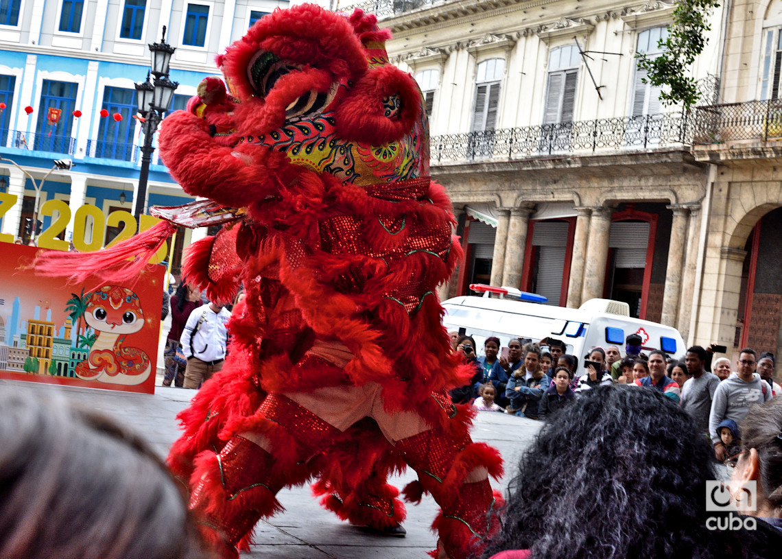 A dragon in the meadow!: China celebrates the Lunar New Year's Fair