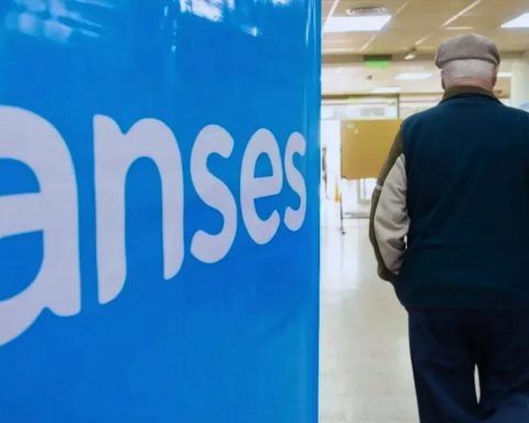 ANSES: how much will the minimum retirement be in February