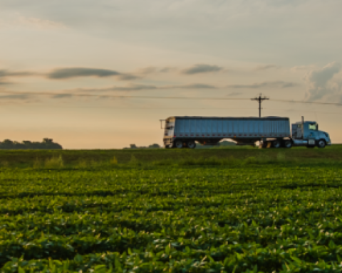 Agricultural prices closed 2024 with an increase of 0.9%