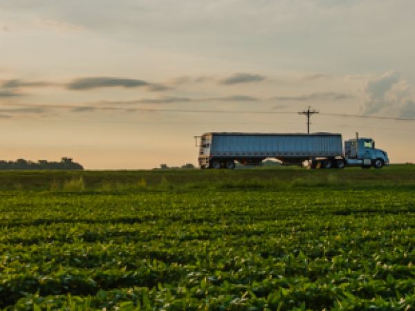 Agricultural prices closed 2024 with an increase of 0.9%