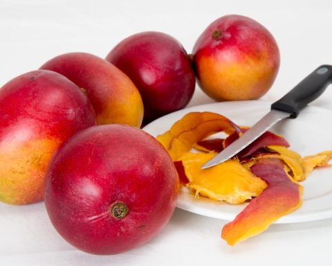 Are there opportunities to increase mango export?