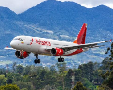 Are you looking for a job for 2025? Avianca has four vacancies available for experts