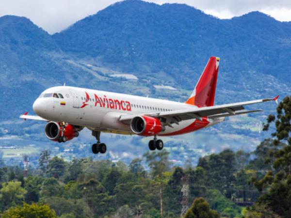 Are you looking for a job for 2025? Avianca has four vacancies available for experts