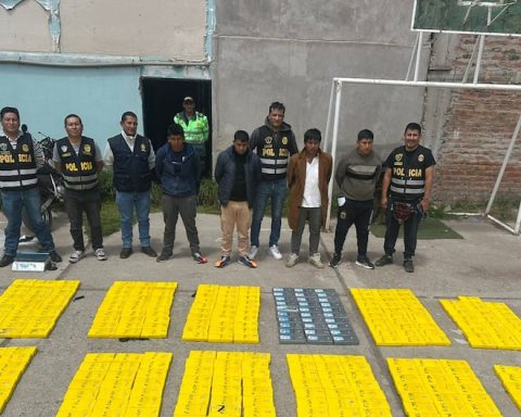 Arequipa: 300 kilos of drugs are seized on a mining route in the province of Caylloma