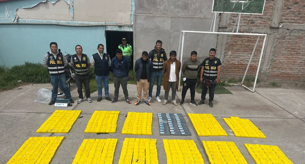 Arequipa: 300 kilos of drugs are seized on a mining route in the province of Caylloma