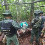 Authorities seized nearly 5 tons of marijuana in Amazonas