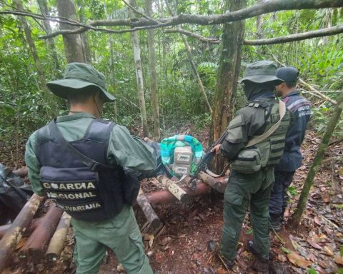 Authorities seized nearly 5 tons of marijuana in Amazonas