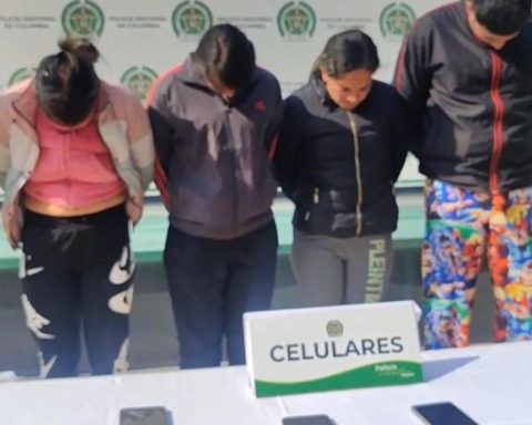 Band composed of relatives that stole cell phones in Transmilenio and Karol G concerts fell in Bogotá