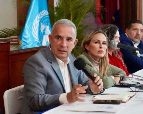 Bernal: In Táchira we are prepared to guarantee peace