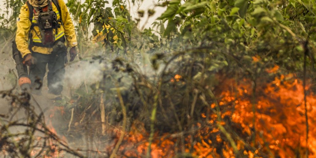 Brazil has 1 million fire outbreaks registered in 5 years