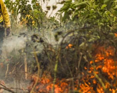 Brazil has 1 million fire outbreaks registered in 5 years