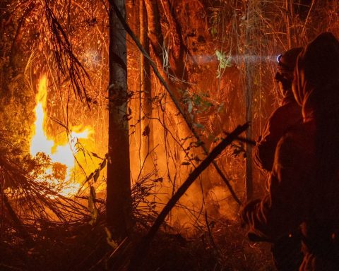 Brazil records a 79% increase in burned areas in 2024